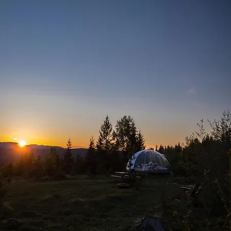 Glass Igloo With Panoramic Views In Asbygda Holiday home *