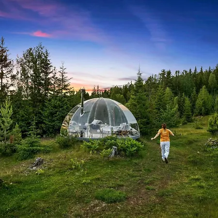 Glass Igloo With Panoramic Views In Asbygda
