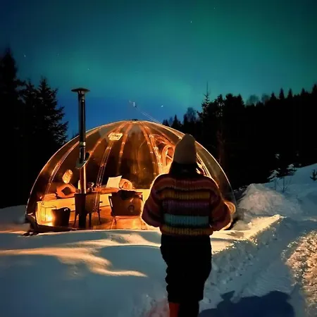 Glass Igloo With Panoramic Views In Asbygda *